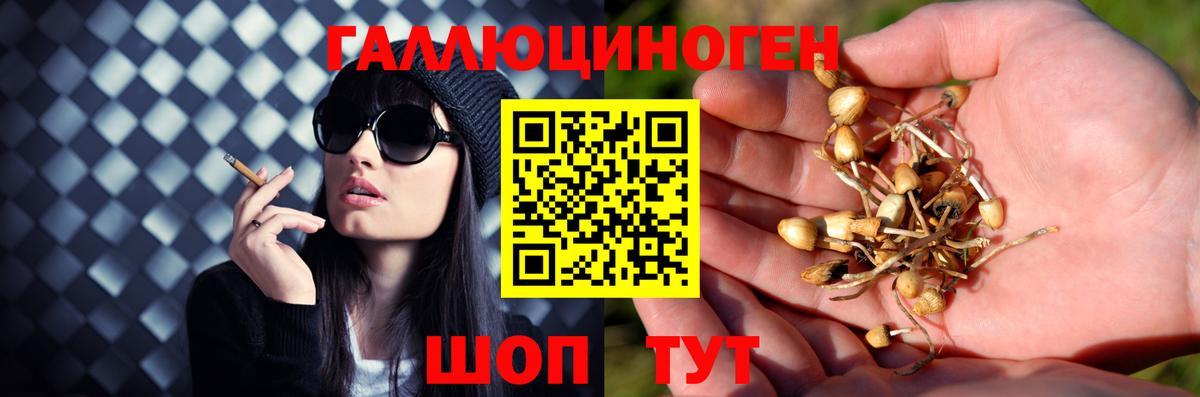 Псилоцибиновые грибы прущие грибы Азов